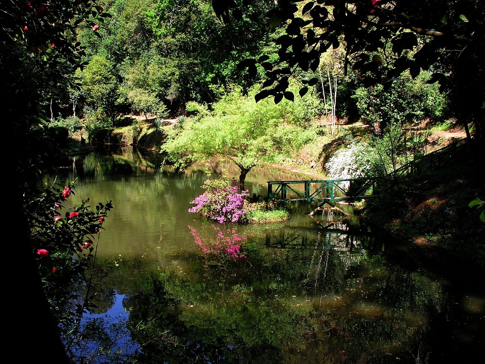 Bosque Nacional de Buçaco